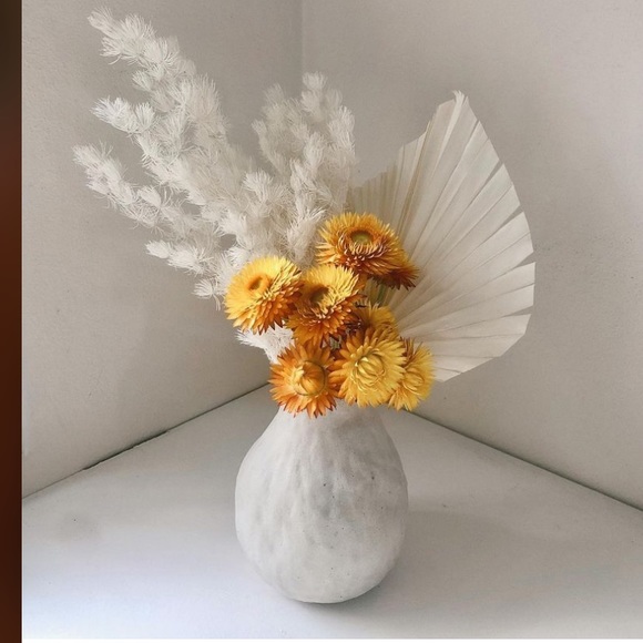 Meet your Posher, Sue - Picture 1 of 1